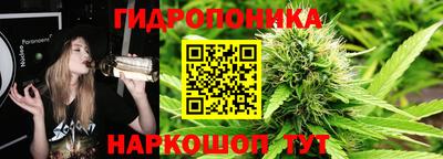 СК Гусев
