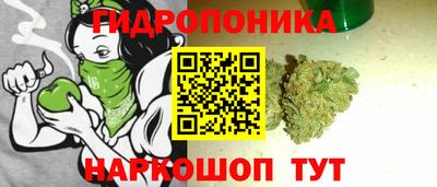 СК Гусев