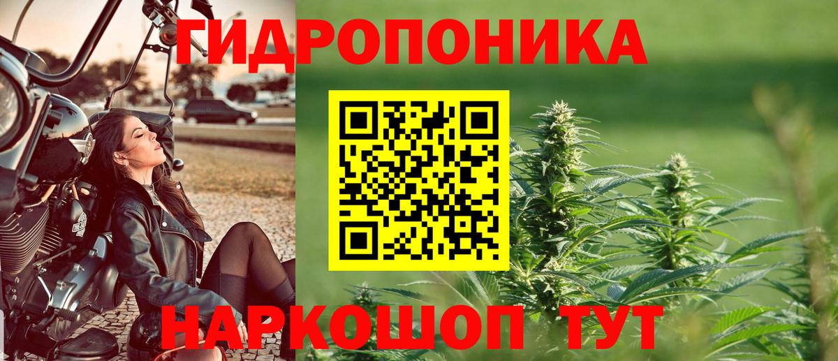 МАРИХУАНА Amnesia  Вход с VPN  Марихуана конопля  Лысьва 